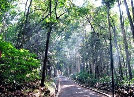 Daya Tarik Objek Wisata Taman Hutan Raya Banten