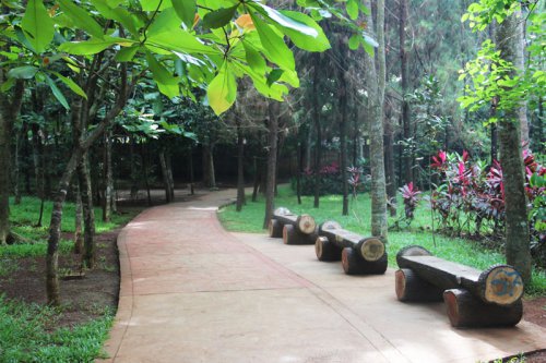 Taman Kota BSD, Tempat Liburan Seru &amp; Asri di Tengah Kota Tangerang!