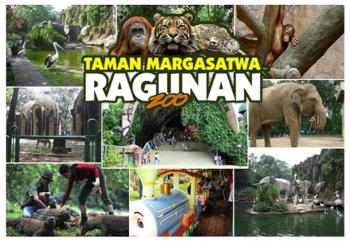 Kebun Binatang Ragunan: Harga Tiket, Fasilitas, Wahana, Aktivitas