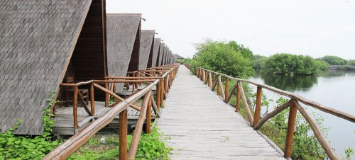 Lokasi dan Transportasi Menuju Taman Mangrove, Jam Operasional dan Tiket Masuk Taman Mangrove, Daya Tarik Taman Mangrove, Fasilitas yang Ada Juga Lengkap, Tips dan Saran Berlibur, Taman Mangrove PIK, Hutan Cantik Sembari Menikmati Sunset