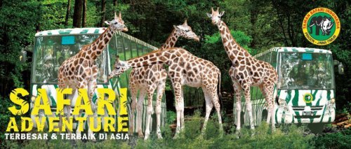 Top 10+ Wahana Seru Taman Safari Prigen &amp; Harga Tiket Masuk Terbaru