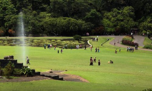 Profil Kebun Raya Bogor Jawa Barat, Mendalami Seluk Beluk Kebun Raya, Kebun Raya Bogor, Salah Satu Destinasi Wajib Ketika Ke Bogor, Harga Tiket Masuk Masuk Kebun Raya Bogor, Fasilitas yang Ada di Kebun Raya Bogor, Pintu Masuk yang Ada di Kebun Raya Bogor, Rute Menuju Kebun Raya Bogor, Daya Tarik Kebun Raya Bogor, Objek Wisata di Kebun Raya Bogor, Rekomendasi Tempat Wisata di Bogor, Tips Berwisata Ke Kebun Raya Bogor, Top 22+ Objek Wisata Kebun Raya Bogor: Harga Tiket, Fasilitas, Daya Tarik dll