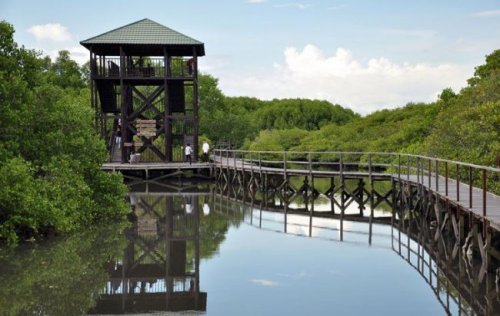 1. Ekowisata Mangrove Wanasari, 2.&nbsp;Sangeh Monkey Forest, 3. New Kuta Green Park, 4. Circus Waterpark Kuta, 5. Pantai Jerman, 6. Pantai Kelan, 7. Pantai Muaya, 8. Pantai Mimpi Pondok Pemuda, 9. Pantai Tegal Wangi, 10. Pantai Balangan, 11. Tanjung Balangan, 12. Pantai Dreamland, 13. Pantai Pemutih, 14. Pantai Bingin, 15. Pantai Padang &ndash; Padang, 16. Pantai Labuan Sait, 18. Pantai Suluban, 19. Pantai Nyang &ndash; Nyang, 20. Pantai Nunggalan, 21. Pantai Karma Kandara, 22. Pantai Melasti, 23. Pantai Batu pageh, 24. Pantai Pandawa, 25. Pantai Gunung Payung, 26. Pantai Sawangan, 27. Pantai Geger, 28. Pantai Mengiat, 29. Pantai Segara Samuh, 30. Pantai Selagan Nusa Dua, 31. Pantai Tanjung Benoa, 32. Air Terjun Nungnung, 33. Air Terjun Bidadari Ayung, 34. Sungai Ayung, 35. Air Terjun Batu Lantang, 36. Air Terjun Sulangi, 37. Patung Dewa Ruci, 38. Kawasan Pura Luhur Uluwatu, 39. Pesawat Bengong, 40. Nirmala Waterpark Ungasan, 41.&nbsp;Taman Satria Gatotkaca, 42. Joger Kuta, 43. Penangkaran Penyu Deluang Sari, 44. Taman Budaya Garuda Wisnu Kencana, 45. Bali Paragliding Tandem Flight, 46. Monumen Perjuangan Taman Mumbul, 47. Museum Becak Indonesia, 48. Museum Pasifika, 49. Dream Museum Zone, 50. Museum Kain, 51. Museum Kerang, 52. Museum Yadnya, 53. Hide N Seek, 54. Cubby House Kids Club, 55. Miniapolis Bali, 56. Pantai Timbis, 57. Pantai Dukuh, 58. Puja Mandala, 59. Pura Taman Ayun, 60.&nbsp;Taman Ngurah Rai Tuban, 61. Lembah Tanah Wuk, 62. Taman Mumbul, 63. Pantai Pererenan, 64. Banjar Umalas, 65. Waka Tangga, 66. Wisata Agro Pelaga, 67. Jembatan Tukad Bangkung, 68. Jimbaran Panorama Point, 69. Pura Petitenget, 70. Pantai Petitenget, 71. Pura Pucak Tedung, 72. Pura Sada Kapal, 73. Pura Batu Bolong, 74. Pantai Batu Bolong, 75. Pura Kancing Gumi, 76. Pura Pucak Mangu, 77. Desa Wisata Petang, 78. Ladang Bunga Gumilir, 79. Desa Wisata Baha, 80. Bumi Perkemahan Blahkiuh, 81. Pantai Seseh, 82. Pantai Derawan, 83. Pantai Batu Mejan, 84. Pantai Double Six, 85. Taman Rekreasi Bethesda, 86. Pantai Selasih, 87. Pantai Batu Belig, 88. Pantai Munggu, 89. Pantai Mengening, 90. Pantai Kayu Putih, 91. Pulau Nusa Dharma, 92. Pulau Peninsula, 93. Splash Waterpark, 94. Waterbom Bali, 95. Pantai Legian, 96. Pantai Seminyak, 97. Desa Wisata Bindu, 98. Bali Swing Bongkasa, 99. Elephant Camp Petang, 100. Bali Equestrian Center, 101. Pantai Nelayan, 102. Agrowisata Ulat Sutera Sibang Kaja, 103. Objek Wisata Garuda Wisnu Kencana, 103 Tempat Wisata di Badung Terbaru & Terhits yang Wajib Dikunjungi