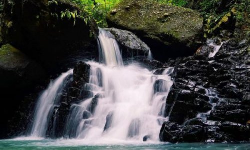 1. Wisata Air Terjun Yeh Poh, 2. Wisata Bukit Asmara, 3. Wisata Air Terjun Telaga Waja, 4. Wisata Masjid Baiturrahman, 5. Wisata Pura Bukit Gumang, 6. Wisata Air Terjun Jagasatru, 7. Wisata Gunung Dwangga, 8. Wisata Air Terjun Tibu Kresek, 9. Wisata Pantai Balina, 10. Wisata Rumah Coklat, 11. Wisata Telaga Waja Rafting, 12. Wisata Bukit Putung, 13. Wisata Desa Iseh, 14. Wisata Pura Besakih, 15. Wisata Bukit Jambul, 16. Wisata Air Terjun Tibu Tengah, 17. Wisata Air Terjun Yeh Labuh, 18. Wisata Banjar Bukit Tabunan, 19. Wisata Cepik Sidemen, 20.&nbsp; Wisata Pantai Wates, 21. Wisata Jembatan Kuning Yeh Unda, 22. Wisata Air Terjun Tibumati, 23. Wisata Bukit Nampo Sibetan, 24.&nbsp; Wisata Dermaga Tanah Ampo, 25. Wisata Pantai Jasri, 26. Wisata bendungan Yeh Unda Hulu, 27. Wisata Pantai Labuan Jelung, 28. Wisata Pantai Ujung, 29. Wisata Kuliner sate Lilit, 30. Wisata Kuliner Nasi Sela, 31. Wisata Pantai Pasih Kelod, 32. Wisata White Sand Beach, 33. Wisata Rumah Bambu Pengalon, 34. Wisata Pantai Sosro, 35. Wisata Pura Dalem Puri, 36. Wisata Warung Sunset Point, 37. Wisata Pantai Bias Tugel, 38. Wisata Pura Candidasa, 39. Wisata Blue Lagoon Beach, 40. Wisata Pura Silayukti, 41. Wisata Kuliner Plecing Telengis, 42. Wisata Pura Lempuyang, 43. Wisata Pura Pasar Agung, 44. Wisata Pantai Labuan Amuk, 45.&nbsp; Wisata Taman Soekasada, 46. Wisata Tenun Ikat Bali Arta Nadi, 47. Wisata Bukit Asah Bugbug, 48. Wisata Kampung Muslim Kecicang Islam, 49. Wisata Gunung Agung, 50. Wisata Pantai Virgin, 51. Lotus Lagoon Candidasa, 52. Wisata Tenganan Pegringsingan, 53. Wisata Yeh Malet, 54. Wisata Pantai Tapak Lawang, 55. Wisata Puri Agung Karangasem, 56. Wisata Tirta Gangga, 57. Wisata Padangbai, 58. Wisata Rumah Pohon, 59. Wisata Agrowisata Abian Salak, 60. Wisata Pantai Jemeluk, 61. Wisata Pantai Tulamben, 62. Ayunan Sidemen Bali, 63. Diving dan Snorkeling di Pantai Amed, 64. Air Terjun Batu Angsel, 65. Padang Bunga Kasna, 66. Ladang Bunga Gemitir, 67. Rumah Pohon Bukit Lemped, Top 67+ Tempat Wisata di Karangasem Terbaru & Terlengkap, Wajib Dikunjungi!