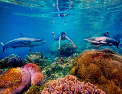 1. Wisata Taman Laut Pantar, 2. Wisata Pantai Mali, 3. Wisata Kolam Bidadari, 4. Wisata Desa Takpala, 5. Wisata Pantai Batu Putih, 6. Wisata Pulau Pura, 7. Wisata Pantai Deere, 8. Wisata Pantai Maimol, 9. Wisata Pantai Welolo, 10. Wisata Pantai Ling&rsquo;al, 11. Wisata Pulau Kepa, 12. Wisata Pantai Tiga Warna Pantaru, 13. Wisata Air Terjun Mataru, 14. Wisata Museum 1000 Moko, 15. Wisata Gunung Sirung, 16. Wisata Air Mancur Tuti Adogai, 17. Wisata Pulau Rusa, 18. Wisata Batu Berlubang di Pantai Pigewa, 19. Bukit Hulnani, Top 19+ Tempat Wisata di Alor Terbaik & Terhits yang Wajib Dikunjungi!