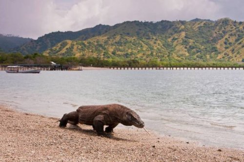 Top 30+ Tempat Wisata di NTT Terindah Bak Syurga Dunia, Wajib Dikunjungi!