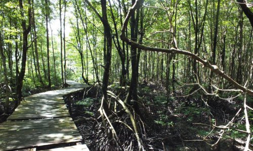 Top 15+ Tempat Wisata di Tanjung Jabung Timur Terbaru &amp; Terhits Dikunjungi