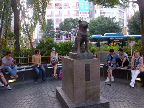 Top 24+ Aktivitas Seru &amp; Tempat Wisata di Shibuya Tokyo Paling Hits
