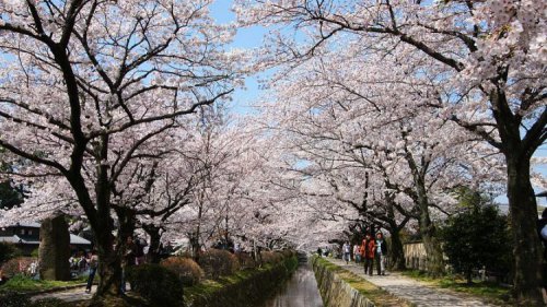101 Tempat Wisata Gratis di Kyoto Terhits &amp; Terpopuler yang Wajib Dikunjungi