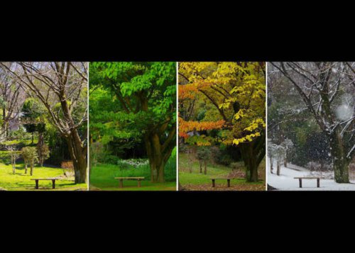 Kapan Waktu Terbaik  &ldquo;Golden Week&rdquo; Liburan ke Jepang &amp; Momen Terburuk Datang Berkunjung