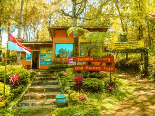 Top 10+ Foto Coban Parang Tejo: Harga Tiket, Daya Tarik, Spot Instagramable!