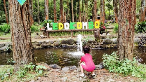 Informasi Umum, Fasilitas di Wisata Ledok Ombo Poncokusumo, Lokasi Wisata Ledok Ombo, Harga Tiket Masuk Wisata Ledok Ombo Poncokusumo, Wahana Seru Ledok Ombo Poncokusumo, Aktivitas Seru, Galeri Foto, Top 10+ Foto Ledok Ombo Poncokusumo: Harga Tiket, Daya Tarik, Wahana Seru