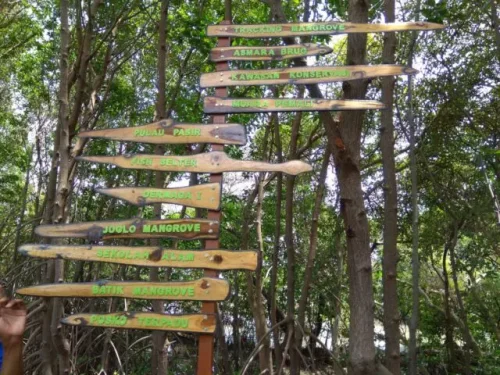 Top 10+ Foto Hutan Mangrove Pandansari: Harga Tiket, Aktivitas, Instagramable
