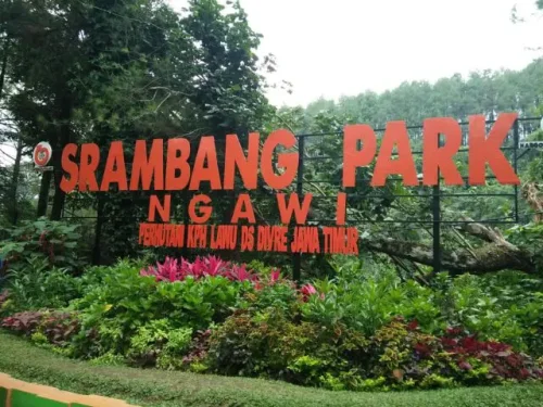Srambang Park Ngawi: Harga Tiket Masuk, Wahana, Daya Tarik!