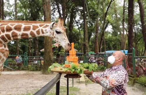 Top 40+ Tempat Wisata di Jakarta Selatan Terbaru &amp; Paling Hits yang Wajib Dikunjungi
