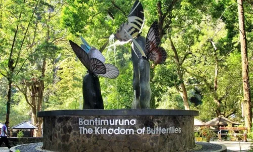 1. Taman Nasional Bantimurung, 2. Wisata Kampung Rammang-rammang, 3. Bulu Tombolo, 4. Helena Sky Bridge, 5. Wisata Tana Tengga, 6. Pemandian Air Panas Reatoa Maros, 7.&nbsp;Pantai Kuri Caddi, 8. Bulu Saukang, 9. Grand Mall, 10. Bukit Kanari Cenrana, 11. Air Terjun Lacolla, 12. Wae Merrungnge, 13. Puncak Makkaroewa, 14. Leang Petta, 15. Kawasan Karst Maros, 16. Taman Purbakala Sumpang Bita, 17. Air Terjun Bantimurung, 18. Pantai Kuri Maros, 19. Maros Waterpark, 20. Air Terjun Taipa, 21. Air Terjun Jami, 22. Kompleks Makam Kassi Kebo, 23. Cagar Budaya Bulu Sipong, 24. Sungai Pute, 25. Air Terjun Pung Bunga Bonto Somba, 26. Desa Tompobalang, 27. Danau Kassi Kebo, 28. Wisata Mangambang, 29. Taman Batu Rammang-Rammang, 30. Air Terjun Merdeka, 31. Air Terjun Lengan, 32. Bukit Tamangura, Top 32+ Tempat Wisata di Maros Terbaik & Paling Hits yang Wajib Dikunjungi