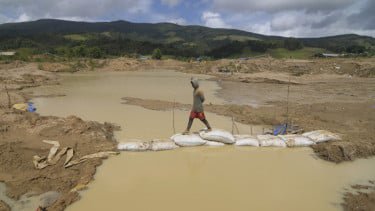 Tambang Emas di Venezuela Runtuh Akibat Banjir Bandang, 14 Penambang Tewas