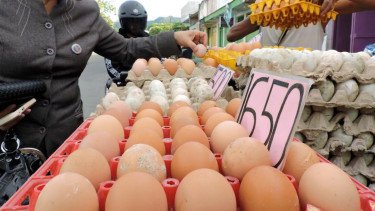 Harga Telur Ayam Anjlok ke Rp 28.900 Per Kg, Daging Sapi Ikut Turun Jadi Rp 127.500 Per Kg