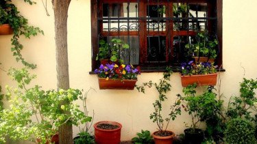Top 5+ Tips Bikin Lingkungan Rumah Harmonis dengan Alam, Dijamin Adem dan Tenang!