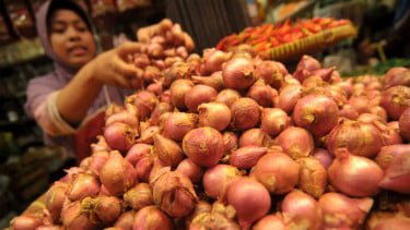 Harga Beras, Bawang, Cabai, dan Minyak Goreng Turun, Cek Daftar Lengkapnya