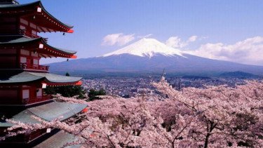Warga Lokal Terusik Lonjakan Turis, Jepang Batalkan Festival Sakura Berlatar Gunung Fuji