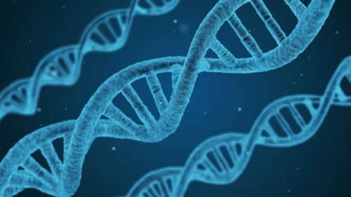 DNA Bukan cuma Urusan Genetik, tapi Senjata Ampuh di Dunia Branding