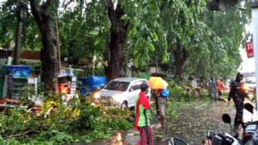 Kupas Kronologi Lengkap Tragedi Pohon Tumbang di Pondok Indah: Lexus Hancur, Eks Direktur Danareksa Meninggal Dunia