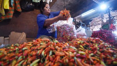 Harga Cabai Anjlok diikuti Beras, Bawang, Telur dan Daging Ayam, Cek Daftarnya