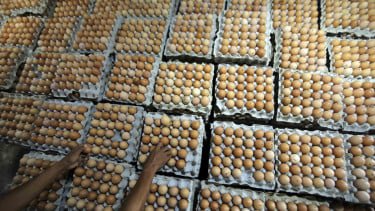 Harga Pangan Naik Imbas Perang, Ayam hingga Telur Makin Mahal!