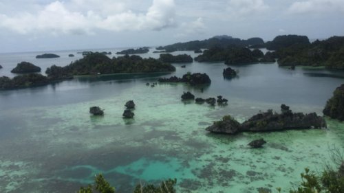 Bahlil Sebut Tambang Nikel di Raja Ampat Milik Gag Nikel, Anak Usaha Antam