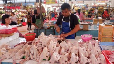 Pemprov DKI Minta Warga Jakarta Tak Panic Buying Jelang Idul Adha