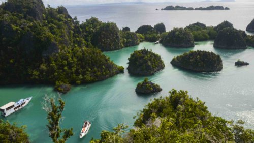 Pakar Soroti Maraknya Gambar AI Raja Ampat: Partisipasi Publik yang Sehat Harus Dilandasi Fakta