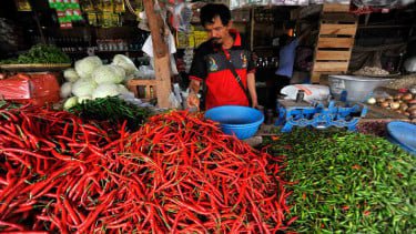 Harga Cabai dan Daging Ayam Meroket Meski Harga Telur Turun, Cek Daftarnya