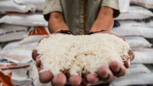 Cetak Rekor, FAO Proyeksi Produksi Beras Indonesia Capai 35,6 Juta Ton