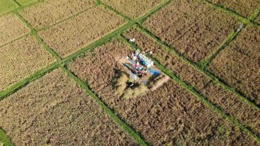 Siap-siap, Alih Fungsi Lahan Sawah Bakal Kena Denda