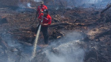 Satgas Kebakaran Hutan Resmi Dibubarkan