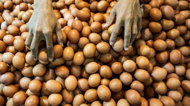 Harga Telur Naik ke Rp 30.300 Per Kg, Daging Sapi Turun Jadi Rp 134.650 Per Kg