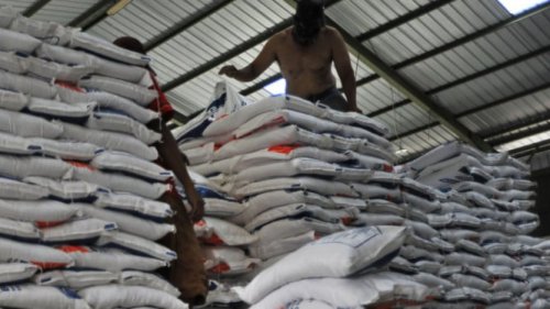 Menuju Lumbung Pangan Dunia, Cadangan Beras RI Capai Rekor Baru