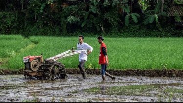 Strategi MANU Bikin Lahan Tidur Jadi Ekosistem Pertanian yang Berkelanjutan