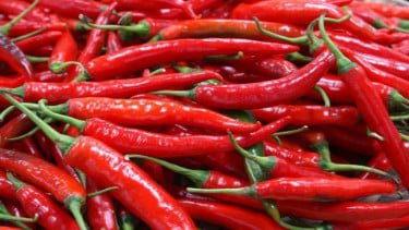 Cabai Rawit Merah Masih Jadi Komoditas Termahal, Telur Ayam Bertahan di Bawah Rp30.000 per Kg, Harga Beras Masih Stabil, Bawang Merah dan Bawang Putih Masih Tinggi, Harga Gula dan Minyak Goreng, Daftar Harga Pangan Nasional Hari Ini, Harga Pangan Hari Ini: Cabai Rawit Masih Pedas, Tembus Rp73.700 per Kg, Telur Ayam Bertahan di Rp29.700