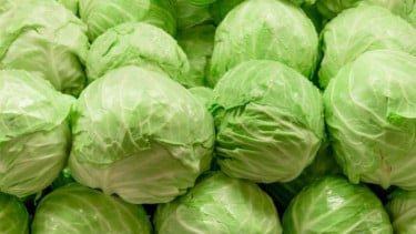 Sering Dianggap Sehat, Ternyata Berbahaya! 6 Sayuran Ini Sebaiknya Jangan Dimakan Mentah