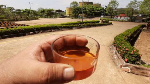 Bakrie Sumatera Plantations Reaches IDR 497 Billion in Q1 2025 Sales, Driven by Palm Oil