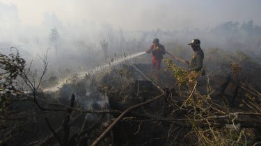 Wamenhut Pantau Penanganan Karhutla di Riau, Kondisi Iklim-Cuaca Jadi Perhatian Serius