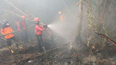 Sumbar Darurat Kebakaran Hutan, Puluhan Titik Api di Dua Wilayah Belum Terkendali