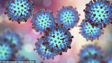 Ilustrasi virus campak &ndash; Shutterstock @kateryna kon