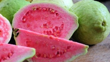 buah jambu biji