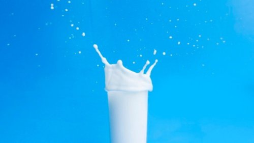 Hari Susu Sedunia:&nbsp;Sumber Protein Hewani yang Tingkat Konsumsinya Masih Rendah di Indonesia