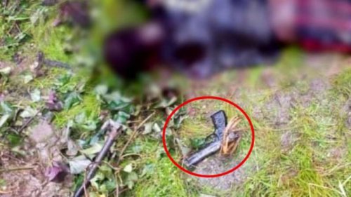 Kontak Tembak di Papua Pegunungan, 2 Pemberontak OPM Kelompok Egianus Kogoya Tewas di Tangan TNI