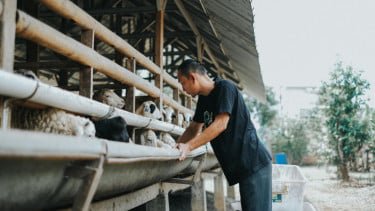 Jelang Idul Adha, 7 Peluang Bisnis Ini Mendadak Moncer dan Banjir Order