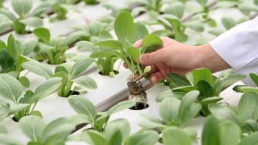 Top 10+ Green Jobs Paling Dicari pada 2026, Ada yang Bergaji Tinggi dan Minim Saingan